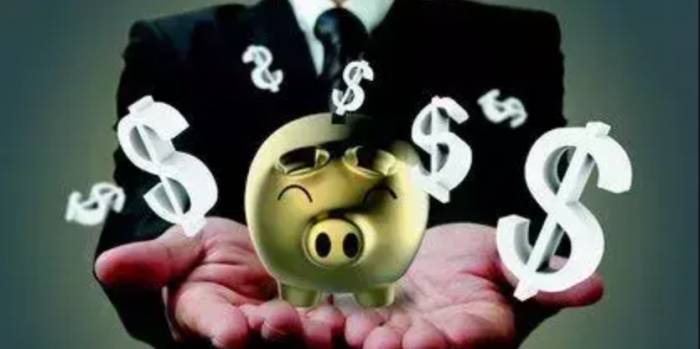 Investment and financial management? Financial investment? If you don't understa