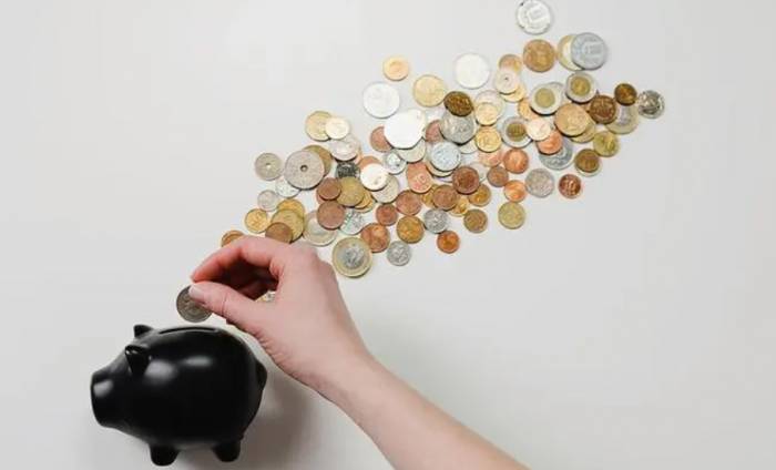 Why is the return fluctuating? Revealing the net value of trust products
